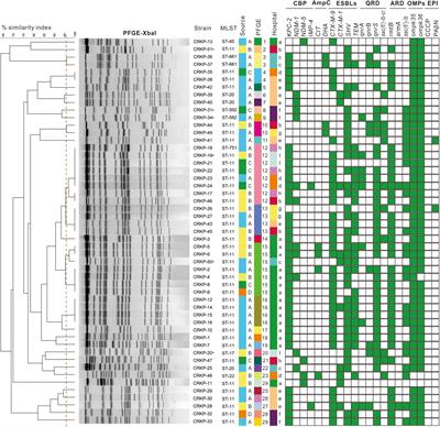 Dissemination and characteristics of carbapenem-resistant Klebsiella pneumoniae in nine district hospitals in southwestern China